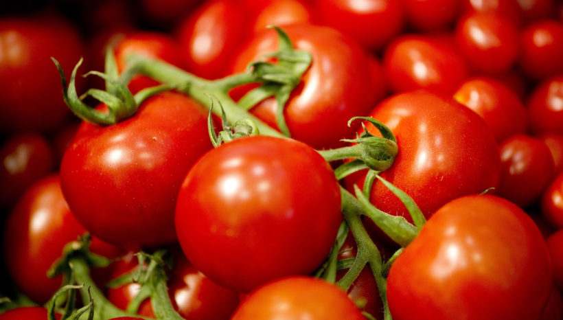 Il Pomodoro a Grappolo: dalla coltivazione alla tavola